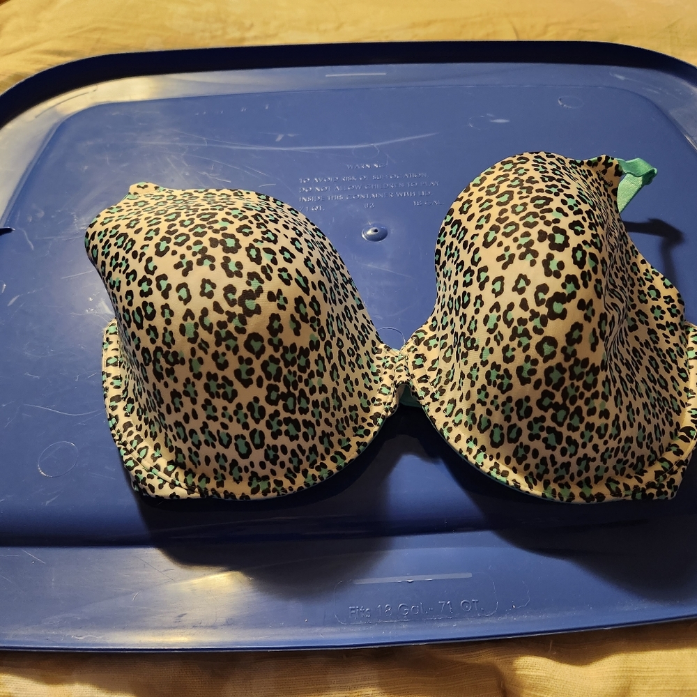 Victoria Secrets Bra